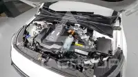 2020 Hyundai Ioniq