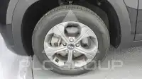 2020 KIA Celltos