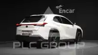 2020 Lexus UX
