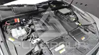 2021 Audi Q8