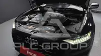 2021 Audi Q8