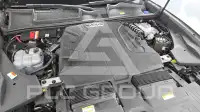 2021 Audi Q8