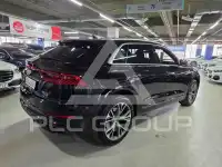 2021 Audi Q8