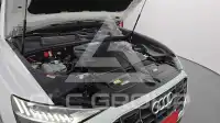 2021 Audi Q8