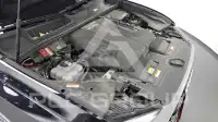 2021 Audi Q8