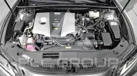 2021 Lexus ES