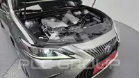2021 Lexus ES