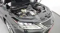 2021 Lexus RX
