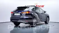 2021 Lexus RX
