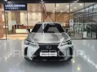 2021 Lexus UX