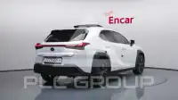 2021 Lexus UX