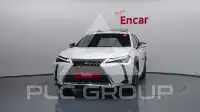 2021 Lexus UX