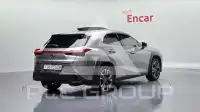 2021 Lexus UX
