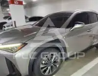 2021 Lexus UX
