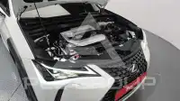 2021 Lexus UX