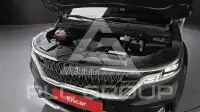 2021 KIA Carnival