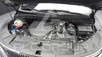 2021 KIA Carnival