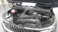 2021 KIA Carnival