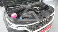 2021 KIA Carnival