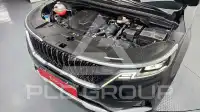2021 KIA Carnival