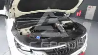2021 KIA Carnival