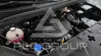 2021 KIA Carnival