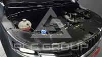 2021 KIA Carnival