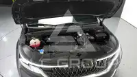 2021 KIA Carnival