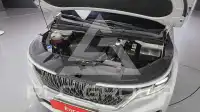2021 KIA Carnival