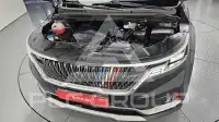 2021 KIA Carnival