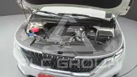 2021 KIA Carnival