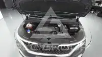 2021 KIA Carnival