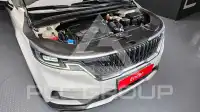 2021 KIA Carnival