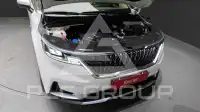 2021 KIA Carnival