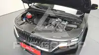 2021 KIA Carnival