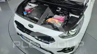 2021 KIA Niro