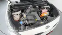 2021 KIA Niro