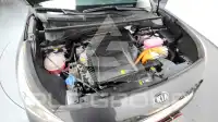 2021 KIA Niro