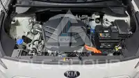 2021 KIA Niro