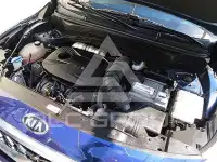 2021 KIA Celltos