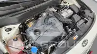 2021 KIA Celltos