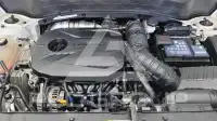 2021 KIA Celltos