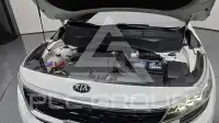 2021 KIA Celltos