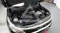2021 KIA Celltos