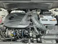 2021 KIA Celltos