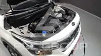 2021 KIA Celltos