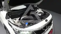 2021 KIA Celltos