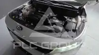 2021 KIA Celltos