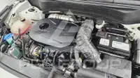 2021 KIA Celltos
