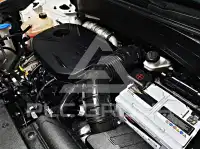 2021 KIA Celltos